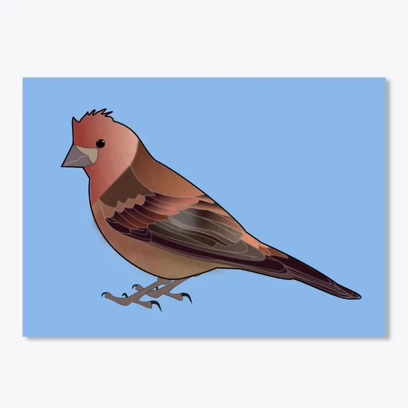 Purple Finch Sticker