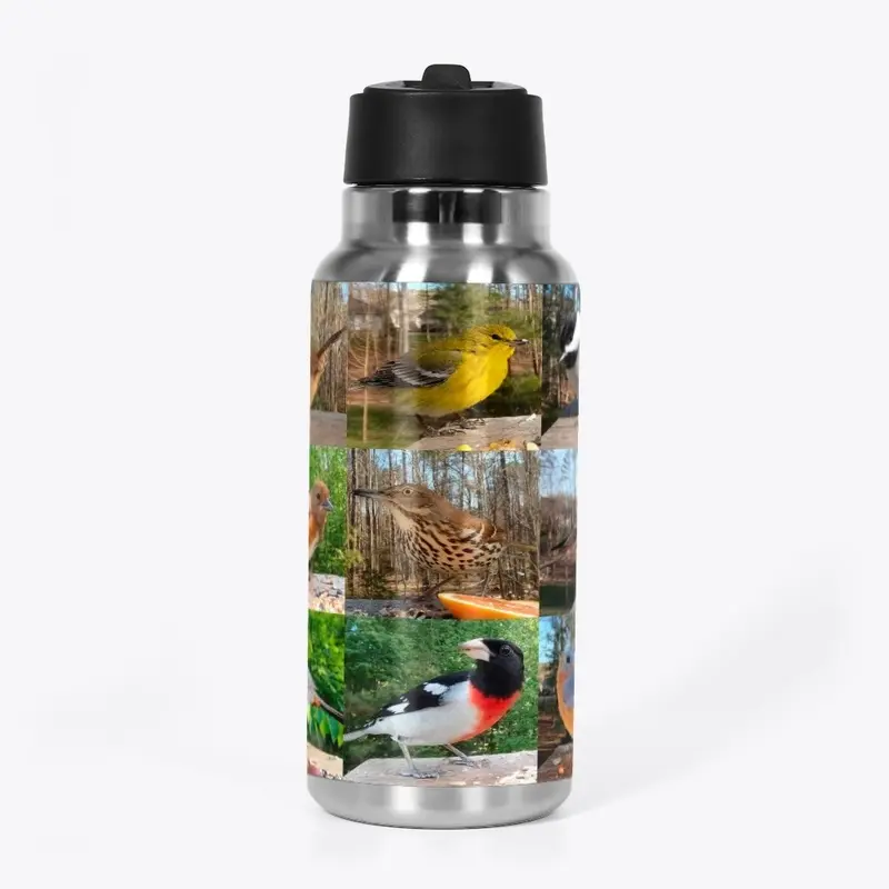 Birds Walking Down Water Bottle