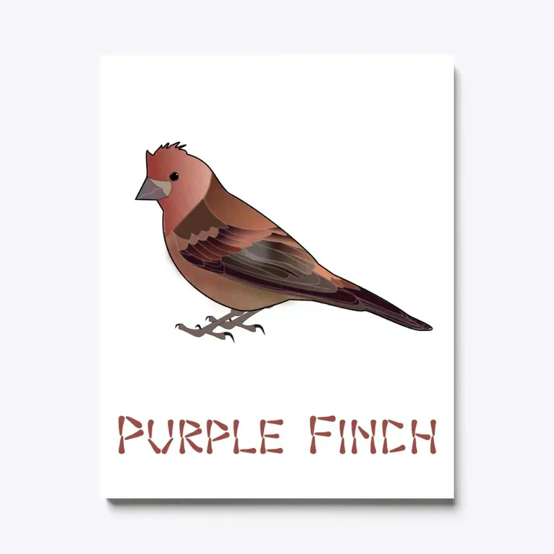 Purple Finch Canvas Print